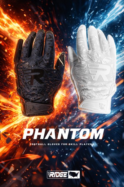 Football receiver gloves